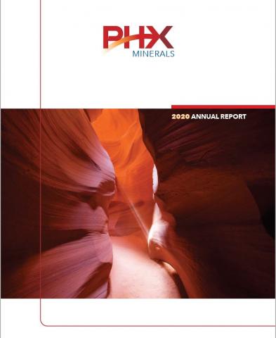 2020 Annual Report Cover Art